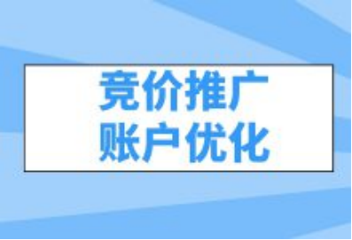 競價(jià)推廣代運營(yíng)